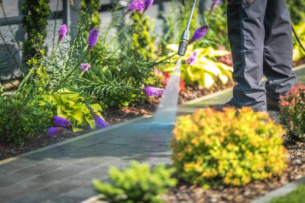 Best Winterizing Services  in Coronado, CA